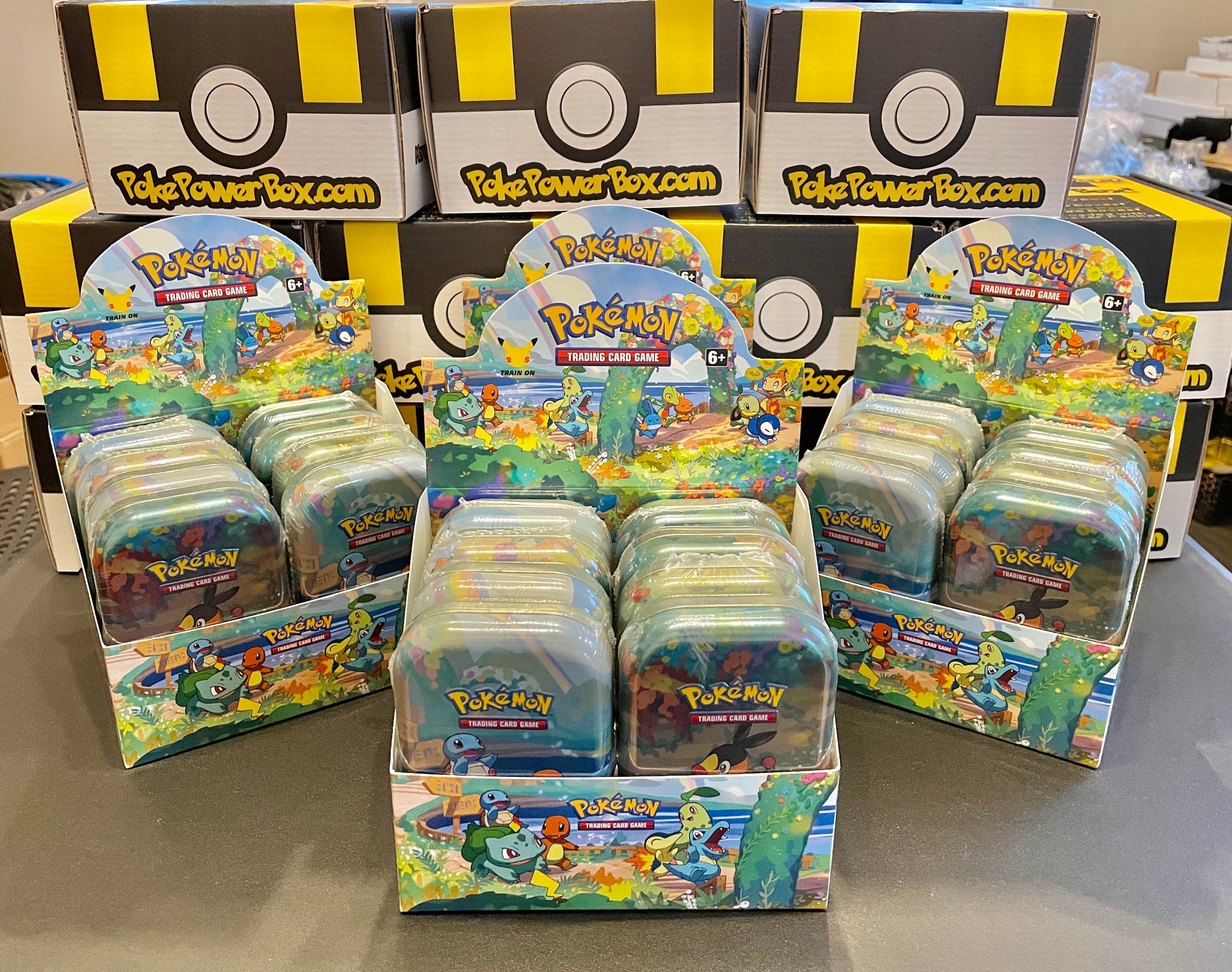 Pokemon BOX Forcas da Natureza THUNDURUS-GX 40822 Copag 98757 – Starhouse  Mega Store